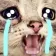 catsob