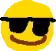 sunglass