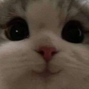 s_cutestctayesir Discord emoji