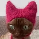 cccat