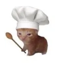 ccat2