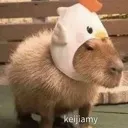 ccapykitty