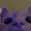 hihihihi