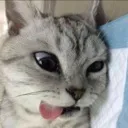 mehhh