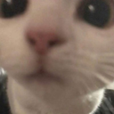 cet Discord emoji