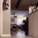 FlyingCat