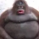 monke