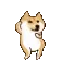 dogedance