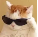 vsk_thugcat