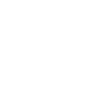 team_Spirit Discord emoji