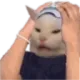 Flantic_arthish_nub Flantic_arthish_nub