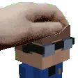 patnoppes
