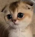 emoji_105