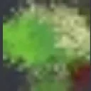 txvsn