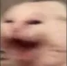 cat_aaaa