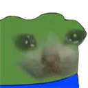 catcryingpepe
