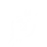 2451262963_fragile_focus