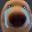 Sadbear sadbear Discord Emoji