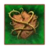 cthorns cthorns
