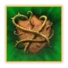 rthorns