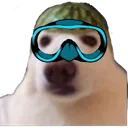 underwater_watermelon_doggo