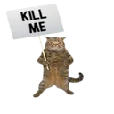killmesigncat