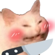 hiii Discord emoji