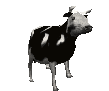 cow_dance Discord emoji