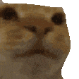 ezgif4fdfd4edde4