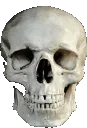sk_skully