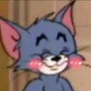 Blush_tom