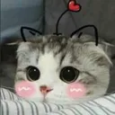 catuwu catuwu