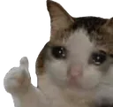 sad_cat