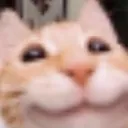 yes