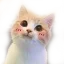 uwucat