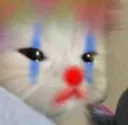 Catclown catclown Discord Emoji