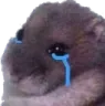 snif