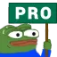 Pro