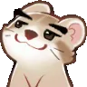 FerretBrows