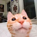 Catastrophe_Gabe