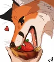 nomfox1 Discord Emoji