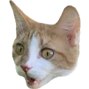 cheetoPog
