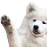 doggowave