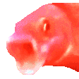 WOOOO Discord emoji