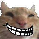 Trollcat trollcat Discord Emoji