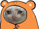 recovering Discord emoji