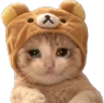 ewok_cat Discord emoji