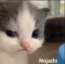 nojado