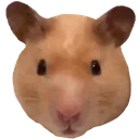 Hamilton Hamilton