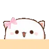 WhiteCatPeek2